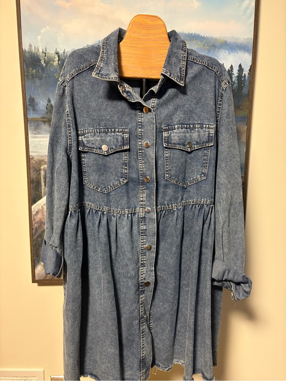 Women's Blue Denim Button-Front Babydoll  Dress